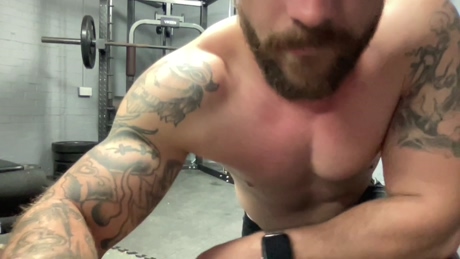 Ant_Powerhouse  18-04-2022